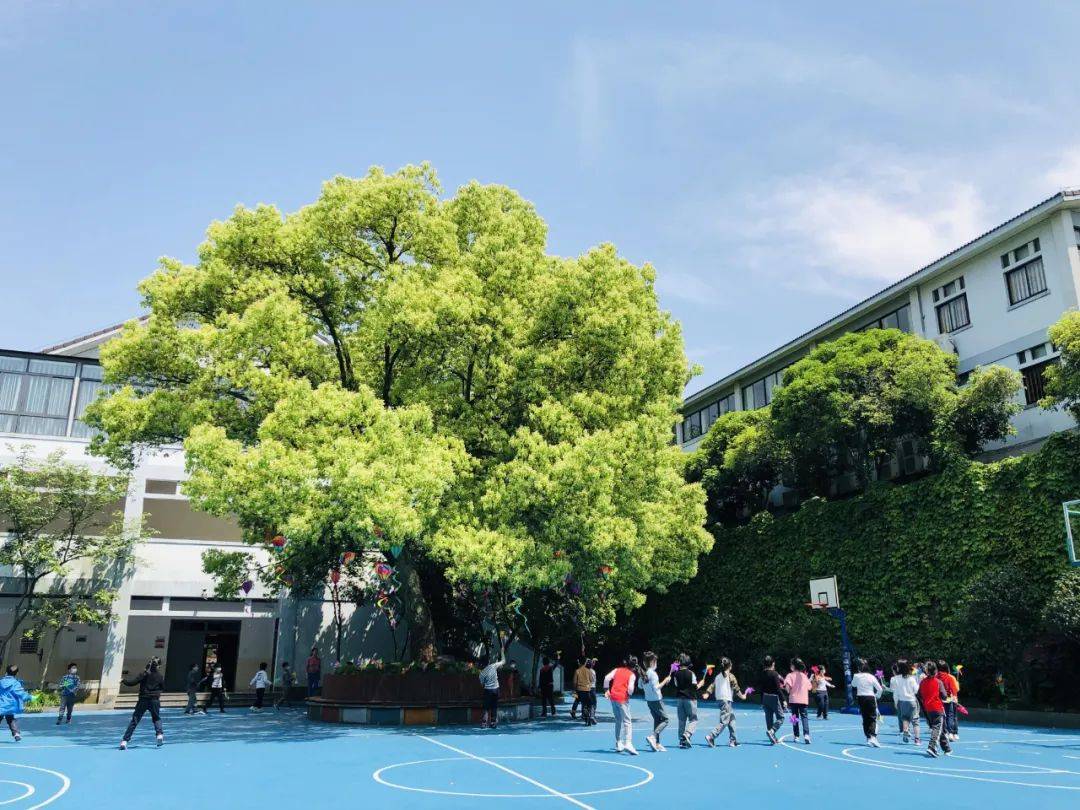 通告杭师附小一年级招生通告