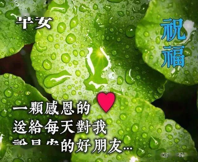 怎么样看开一切 cf84df0e8ad84c1aa66a107742fa8909.jpeg