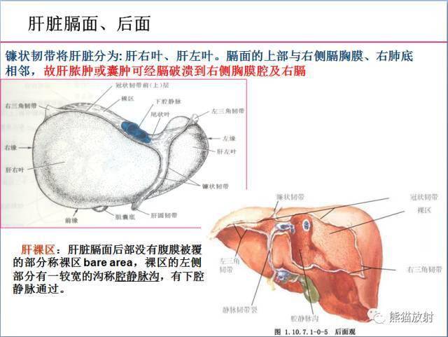 手机搜狐网