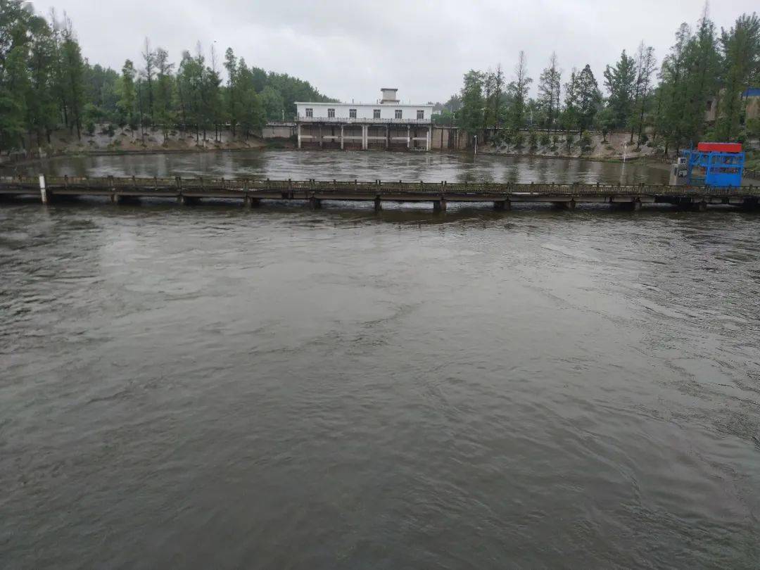 雨雨雨!仙桃抢排涝水1亿立方米,雨还要下到