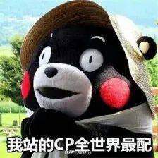 忍不住高举cp大旗!