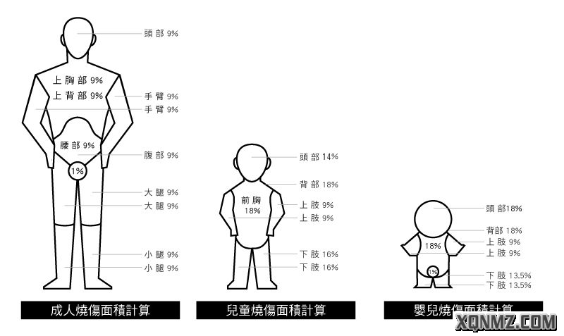 尿量>50ml/h以上(急诊室2,中国九分法 成人 将体表面积分成11个9%