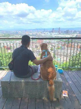 地瓜|网友笑喷:你心里没点数吗?这年头小三竟然在正宫面前肆无忌惮