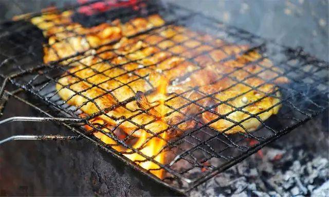 鲶鱼|到底是什么鱼?能不能放心吃烧烤摊15元一条的烤鱼