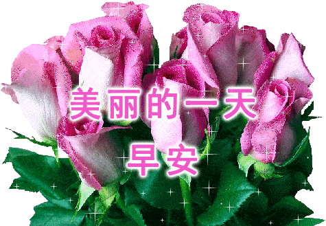 7月最新漂亮的早上好问候动态鲜花表情图片,最新最美早安问候语图片带