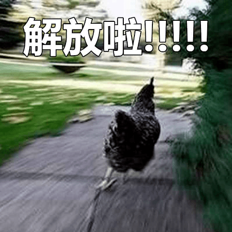 6f5d4ead24994d3186db7d02679f5477.png