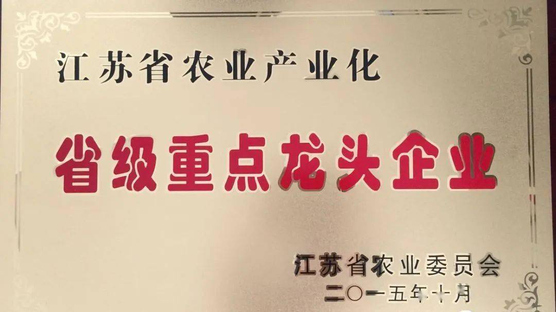 文章配图-4