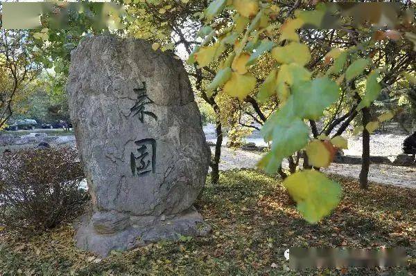 专业|北京语言大学：新增语言学等专业 绝大多数专业不限选考科目