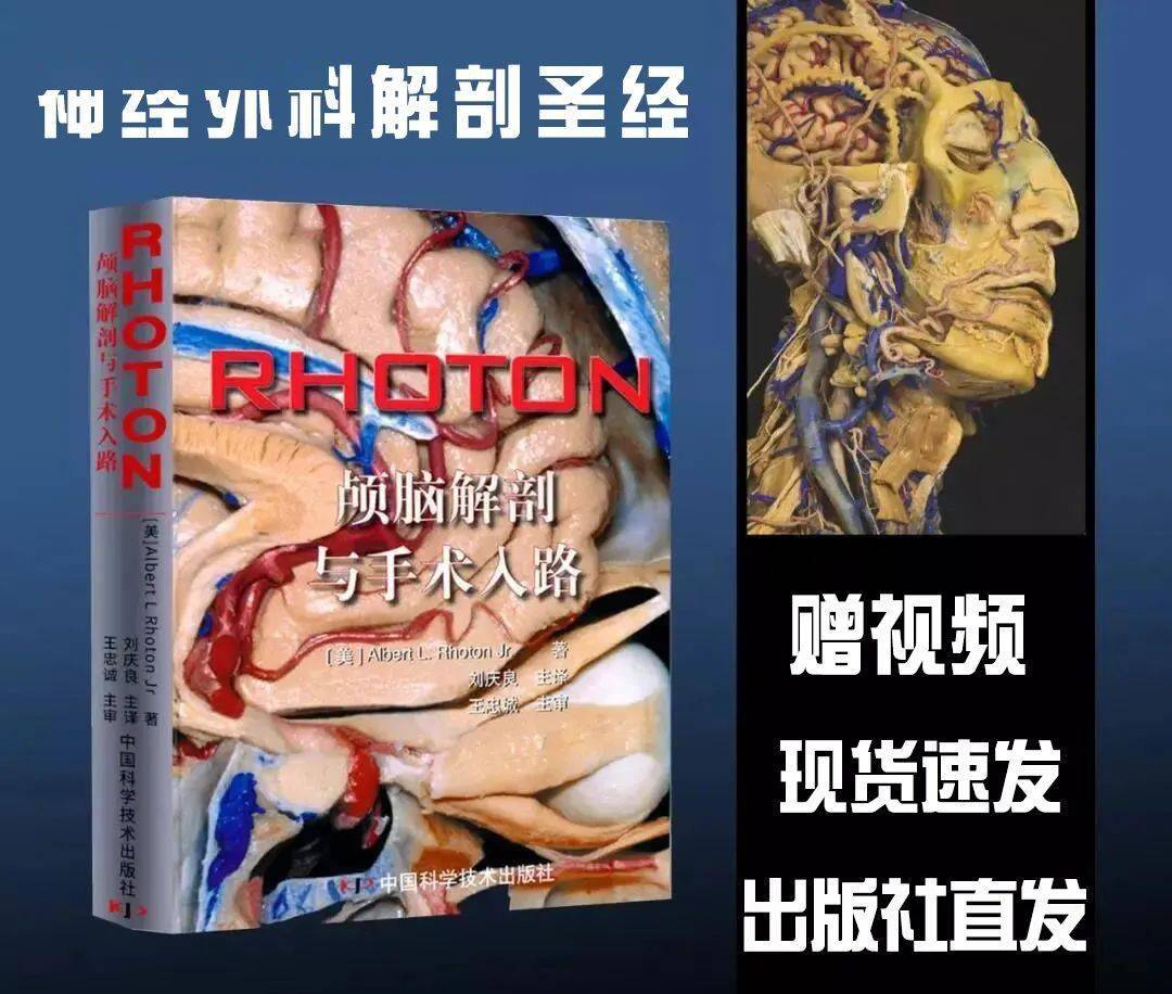 神经书籍：RHOTON颅脑解剖与手术入路_手机搜狐网