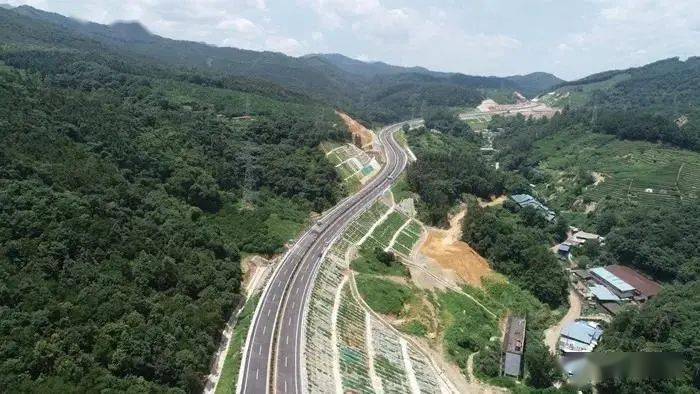 三明市区这条通道通车啦!时速60km/h,南北通行更快,更