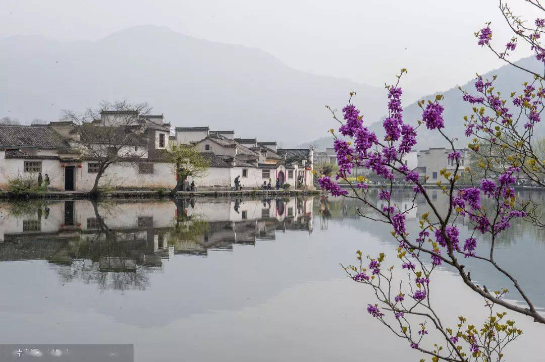 中国最具特色十大民居,快来看你所在地方有没有!_布局