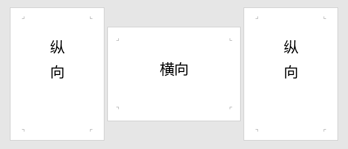 干货分享 如何让一个word文档同时拥有 纵向 和 横向 页面 光标