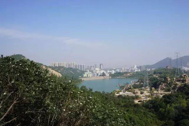 珠海的人口多少人口_珠海大道桥下限高多少(3)