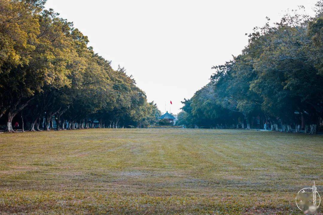 大学|提前看!高考考公办大学多少分?你考得上嘛?