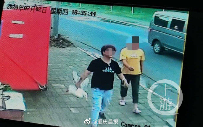 演员王珞丹发文称同事的宠物鸭被人抓走吃掉 警