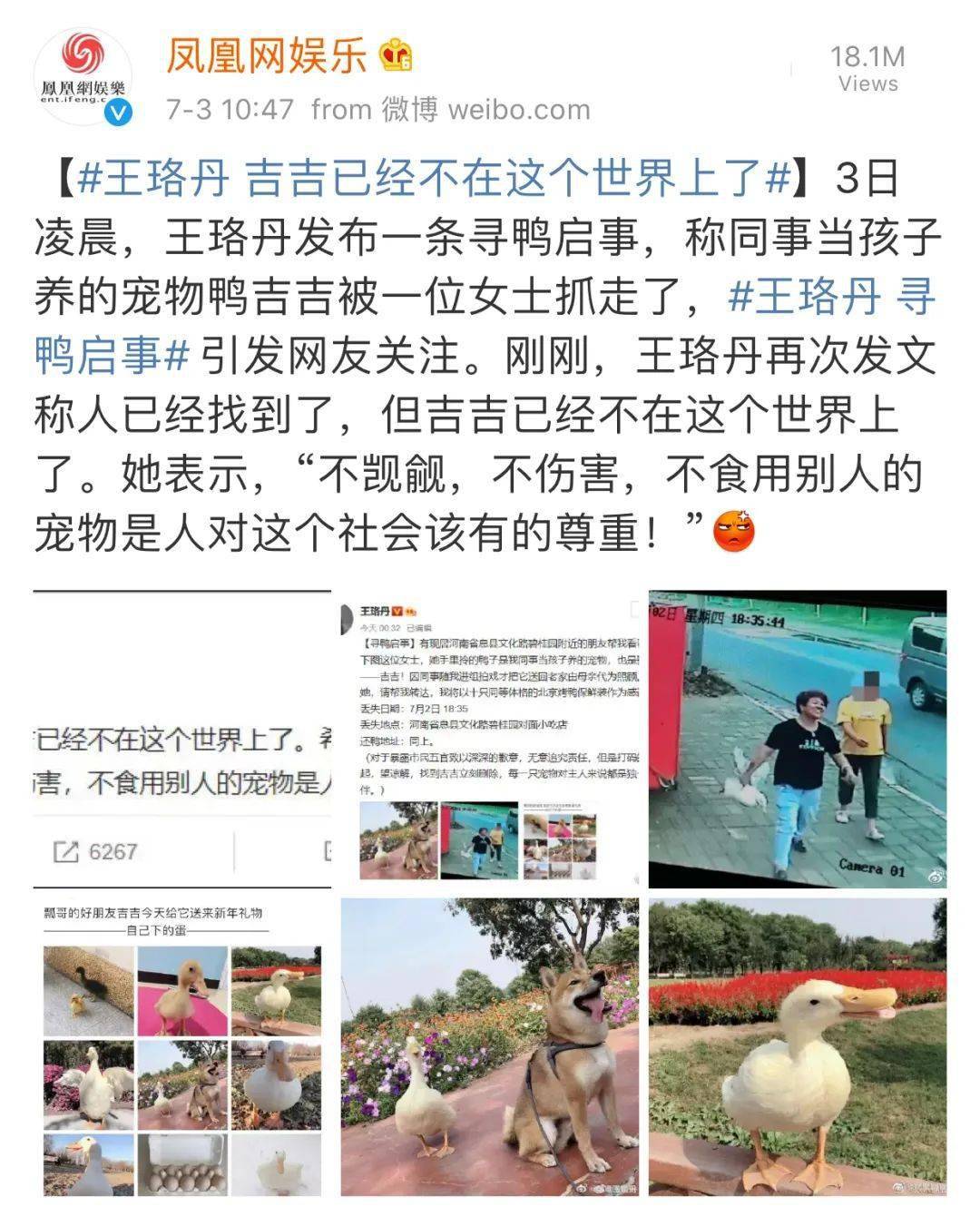 王珞丹深夜找鸭火上热搜真相却沙雕网友回怼这是人吗