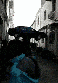 搞笑GIF:害羞到不行的含羞草