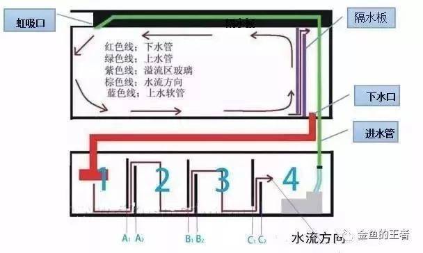 上图是一个底滤鱼缸的简易图,任何一个鱼缸,我们首先要明白设计水流