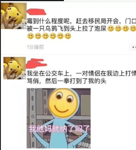 搞笑GIF:害羞到不行的含羞草