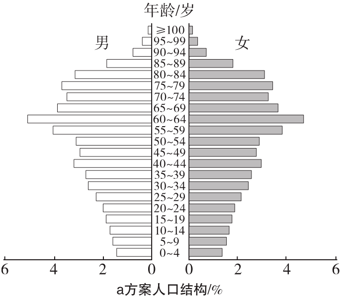 老龄人口比重名词解释_人口老龄漫画(2)