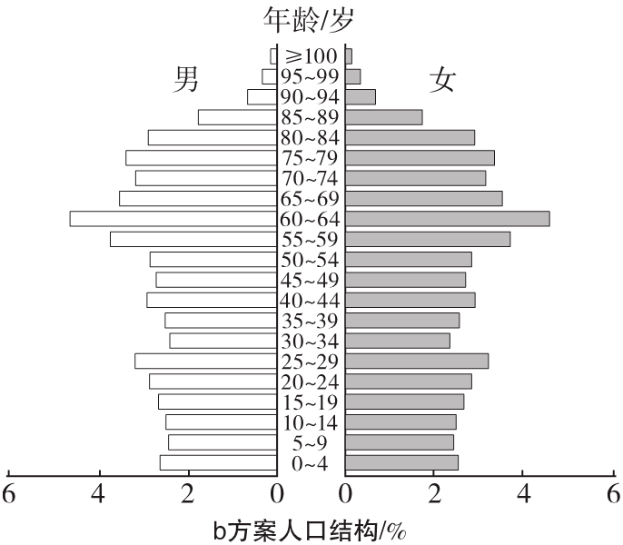 人口金字塔分析_人口金字塔