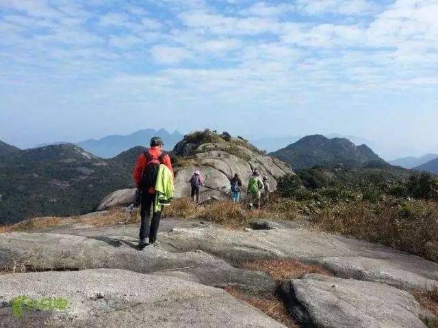 三角髻登山过程中的一大亮点是高海拔处连续茂密的竹林