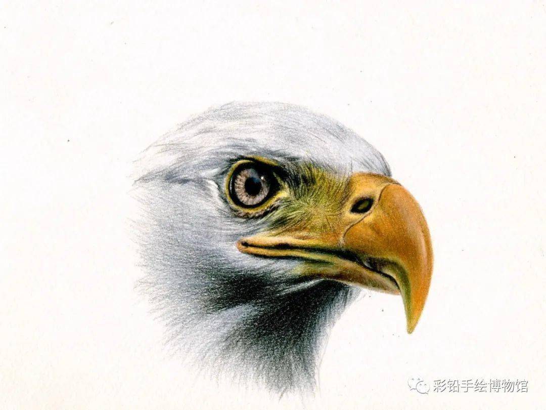 雕头续雕