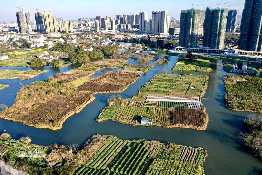 答案来了龙港市湿地公园二期何时开工建设