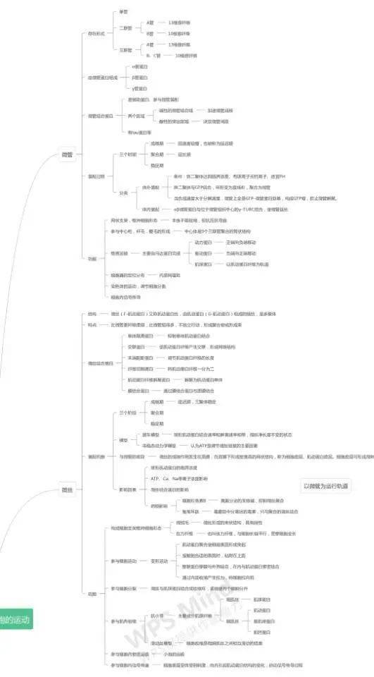 化比赛石河子大学首届四大化学思维导图比赛作品展示补交作品