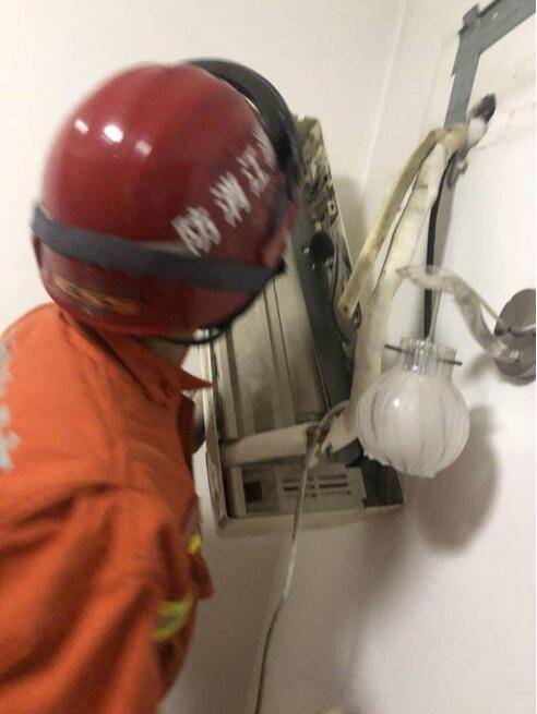 空调|整整十只！杭州城西一户，蝙蝠一家入住“空调房”