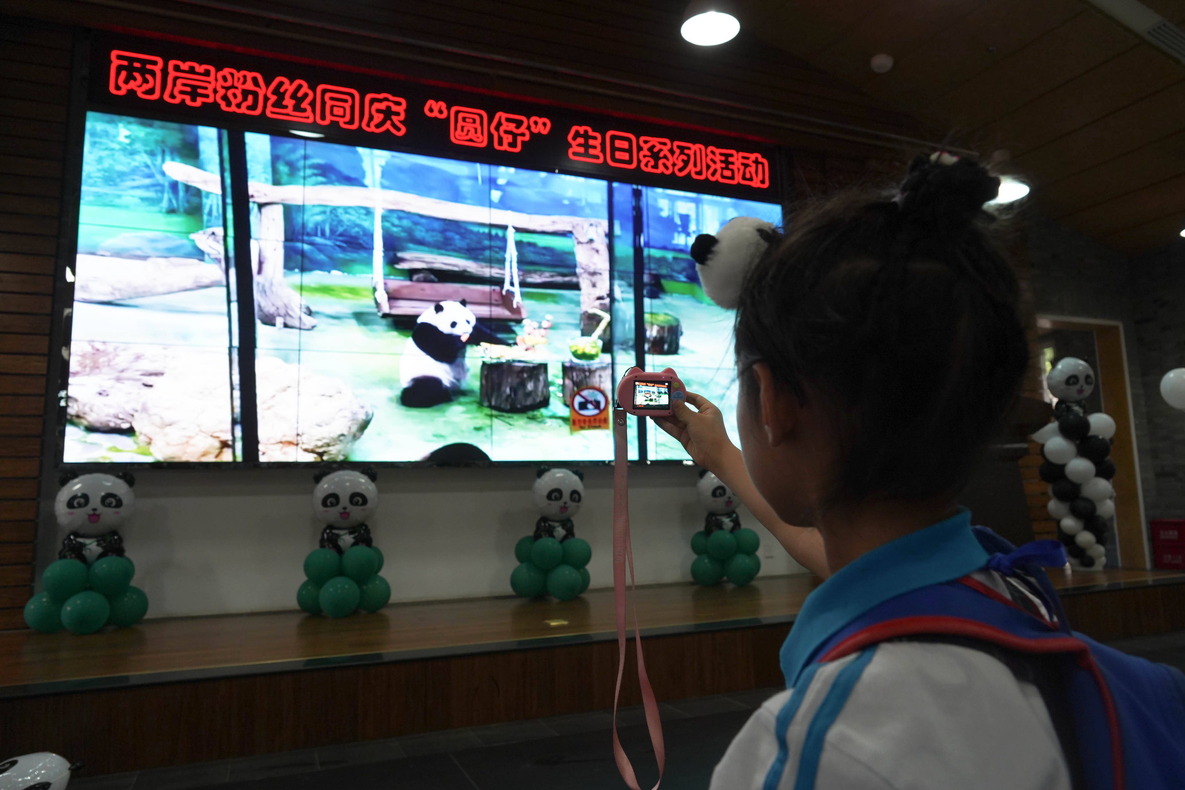 青城山|两岸粉丝同庆“圆仔”生日会