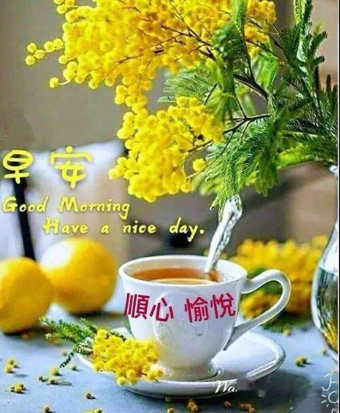 清晨朋友圈慰问大家早上好阳光温馨语录,漂亮的早上好