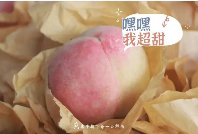 79元畅吃正宗凤桥水蜜桃盛夏无桃不欢