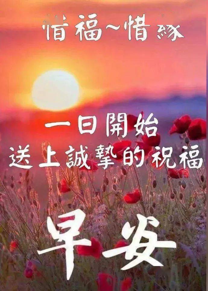 非常温暖的早上好阳光问候语表情图片带鲜花 2020最温馨早晨好祝福