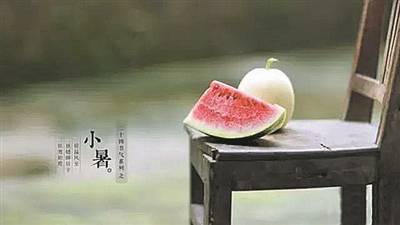 荷叶▲小暑重在防暑热 适度清凉巧避暑