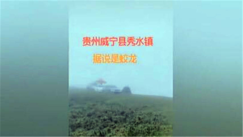 叫声|网传贵州威宁出现“龙叫声”？当地组织查勘核实揭开真相