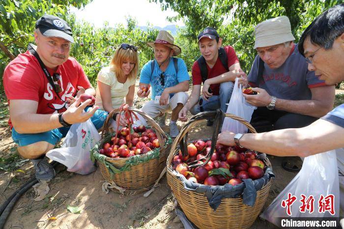 花果经|连云港韩李村：花果山下小村庄“花果经”中奔小康