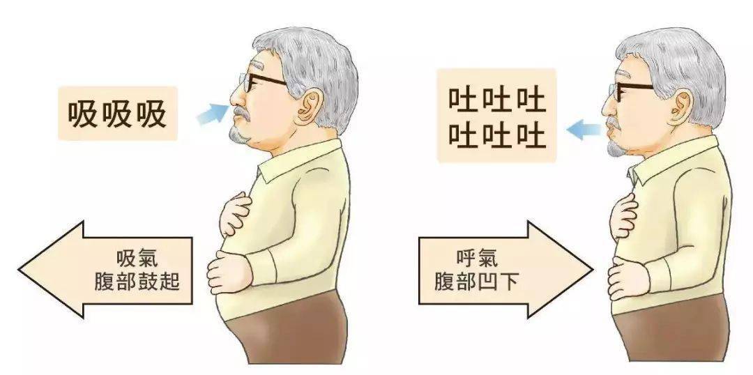 腹式呼吸解析图