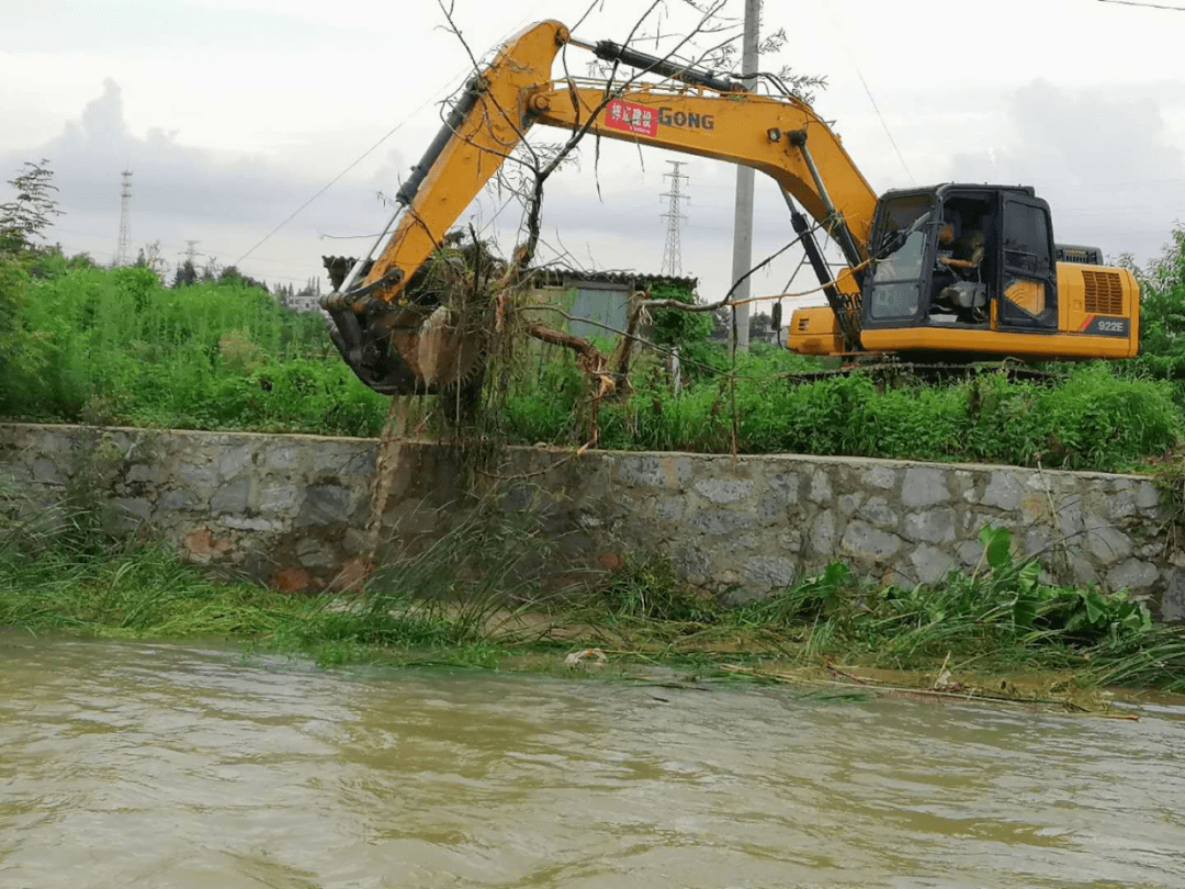 凉亭村开展暴雨过后河道清淤工作