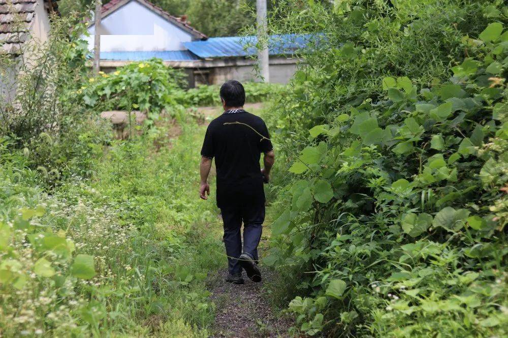 我妈昨晚梦见祖坟被挪，梦境背后的文化寓意与心理解析