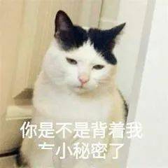 文章配图-4