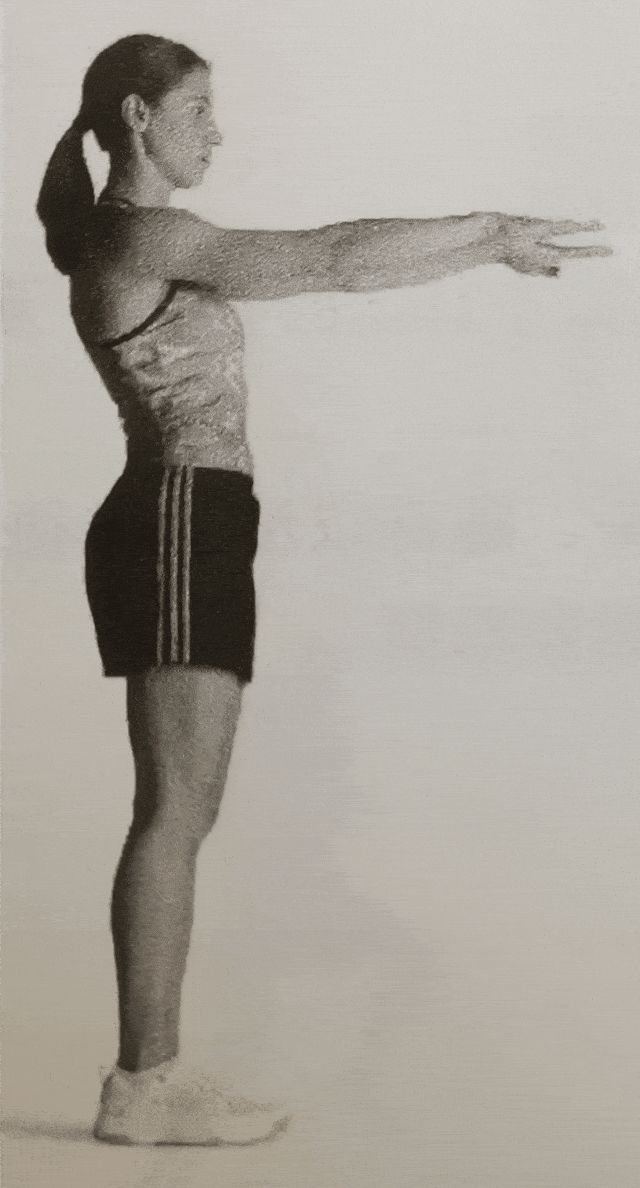 lp带你练核心区训练弹性训练