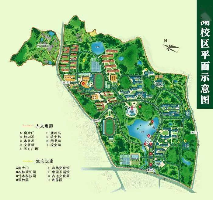 浙江农林大学2020年三位一体综合评价招生综合素质测试温馨提醒