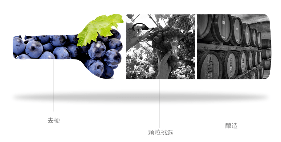 焕新|醇香绽放！露嘉堡晨光红葡萄酒焕新上市