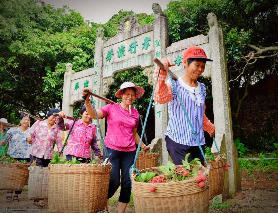 给"荔"!"孝行荔枝皇,德泽普千家", 从化区太平镇第一届荔枝皇拍卖会!