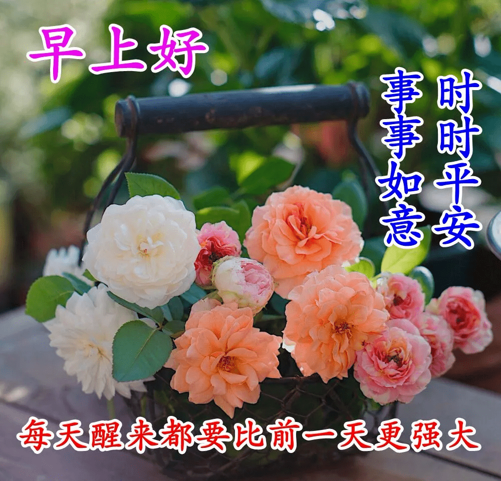 早上好关心朋友的甜蜜句子带图片,清晨最暖心的早安问候句子带字图片