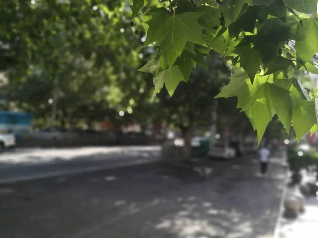 小伙|痛惜！32岁小伙因肥胖型糖尿病面临截肢