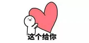 高考|高考结束，我最想做……