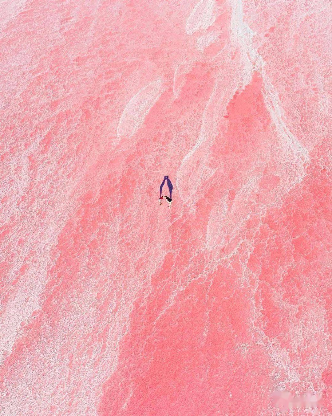 颜色|为什么年龄越大，越喜欢粉色？