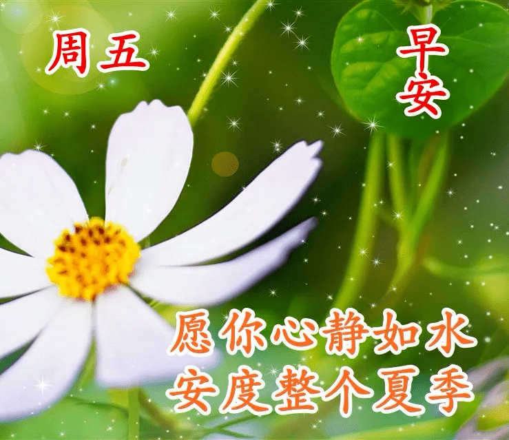 早上好问候语表情图片大全 早上好祝福语短句子